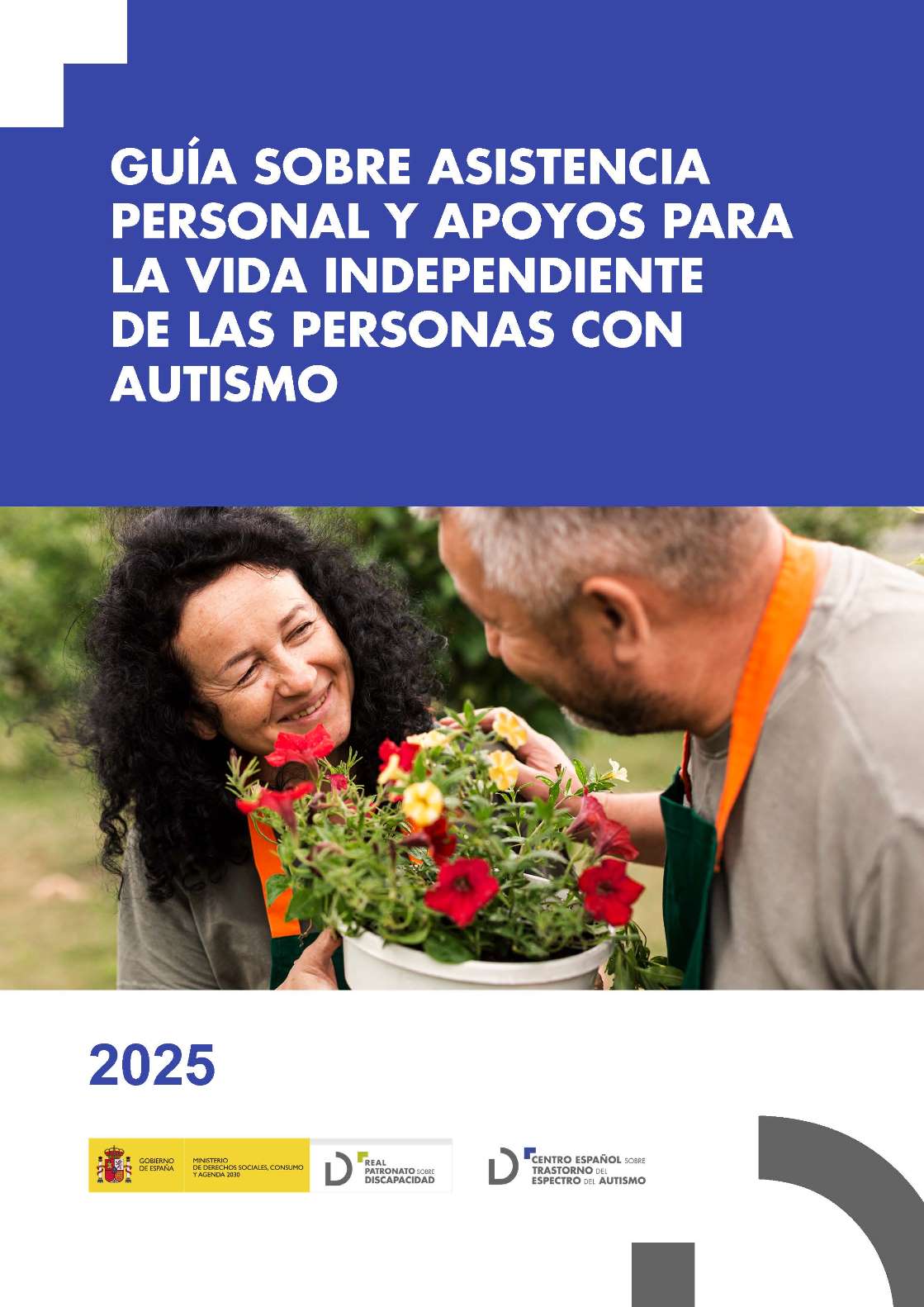 Noticia Guía sobre asistencia personal y apoyos para la vida independiente de las personas con autismo