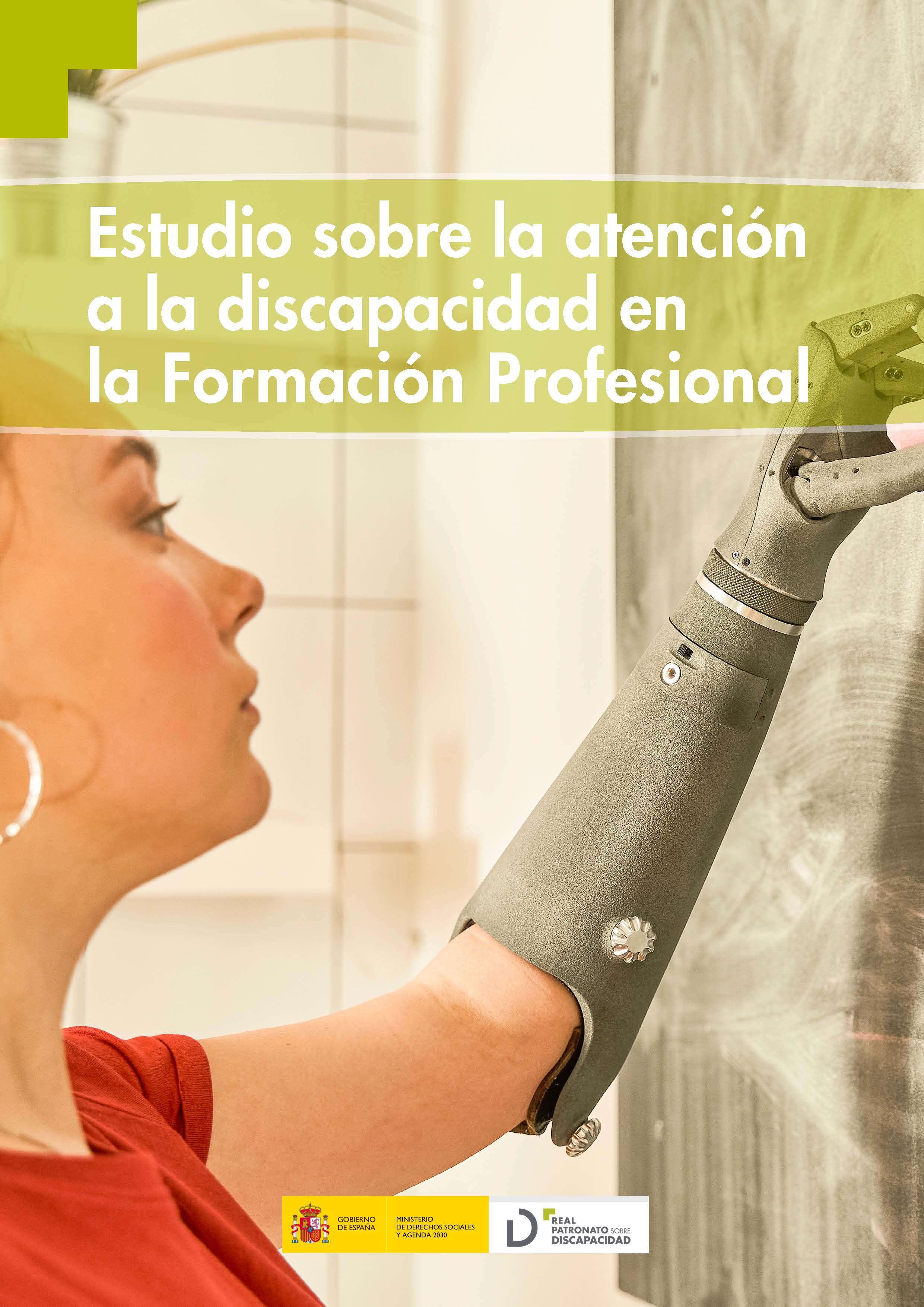 Estudio sobre la atencin a la discapacidad en la Formacin Profesional