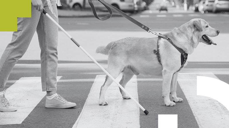 Imagen noticia Las personas que necesitan perros de asistencia podrán acceder con ellos a espacios de uso público en todo el país