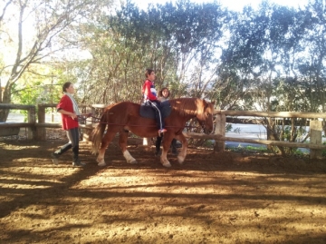 Fundación Deporte y Desafío