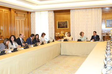 Foto 23 Reunión del Consejo del Real Patronato sobre Discapacidad