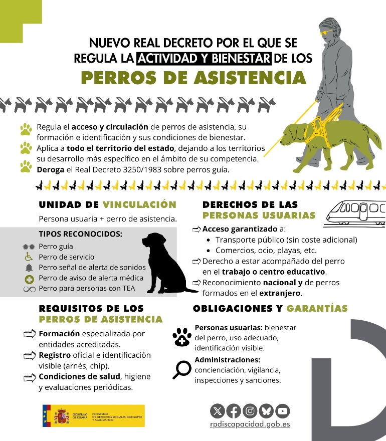 Infografía nuevo Real Decreto por el que se regula la actividad y bienestar de los perros de asistencia