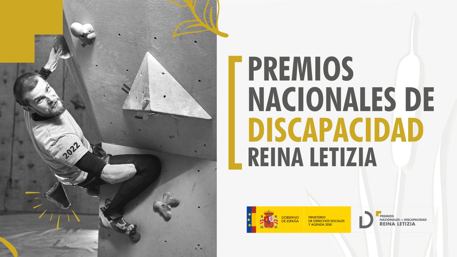 cartel de los Premios Reina Letizia